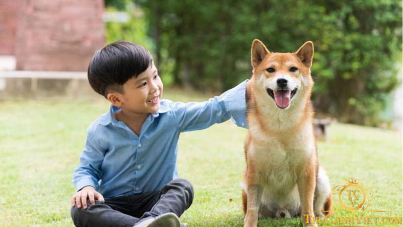 Những lợi ích tuyệt vời khi trẻ em nuôi thú cưng
