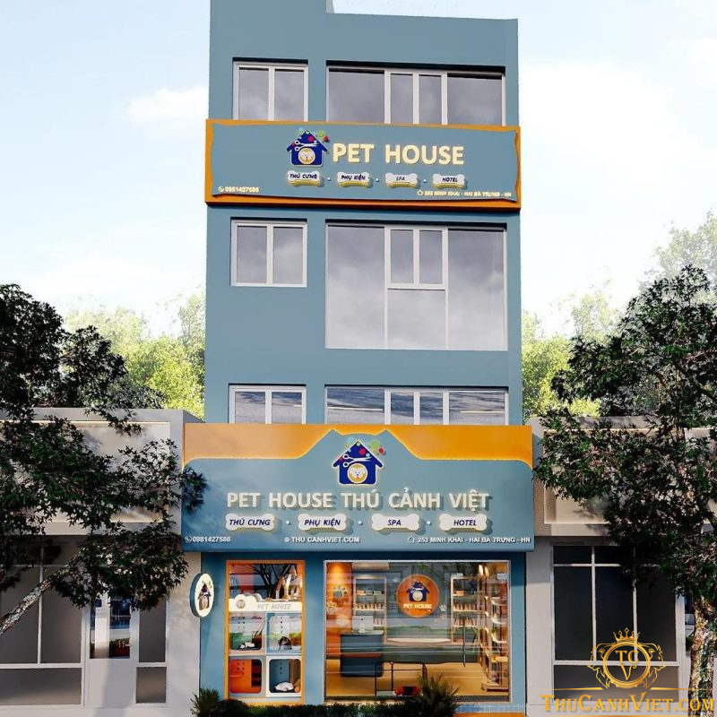 PET HOUSE khai trương cơ sở 293 Minh Khai, tặng quà khủng cho cún miu