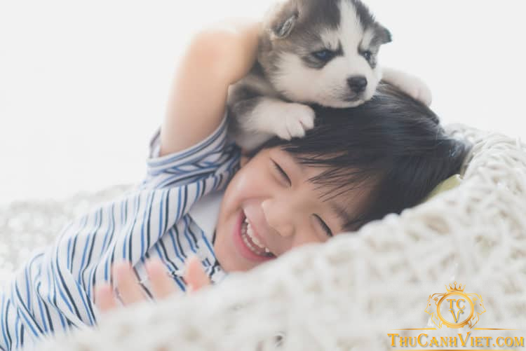 Cho trẻ nuôi thú cưng - Làm sao để đảm bảo an toàn?