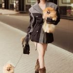 Chó phốc sóc mặt gấu hàng tuyển chọn được chị Ngọc Trinh mua
