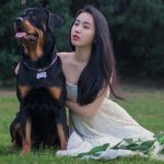 Chó Rottweiler và chô chủ nhỏ