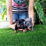 Cặp đôi hoàn hảo đẹp ngay từ khi còn nhỏ