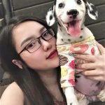 Chó Đốm Dalmatian va cô chủ nhỏ