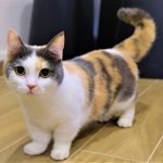 Khi bạn nhìn thấy bức ảnh này, bạn sẽ không thể nào quên được về nó