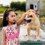 Akita và cô chủ nhỏ
