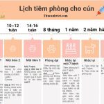 Lịch tiêm phòng cho chó